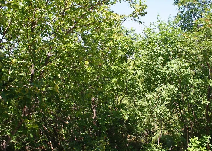 Διαμέρισμα With Parking Space Rovanjska, Paklenica - 6209