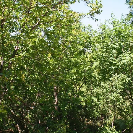 Апартаменты With Parking Space Rovanjska, Paklenica - 6209